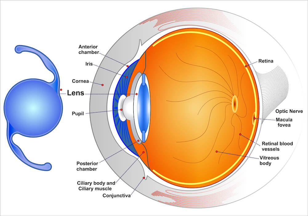 Diagram of how advanced technology lenses work